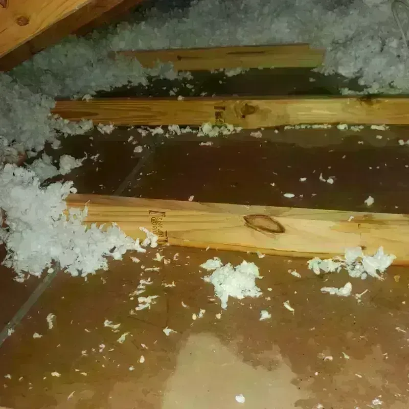 Attic Water Damage in Burien, WA