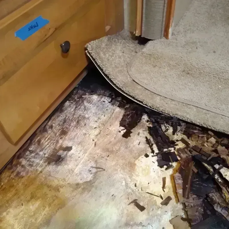 Best Wood Floor Water Damage Service in Burien, WA